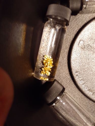 Customer photo review of *BOGO* Pioneer '2 OUNCE NUGGET HUNT' - Gold Panning Paydirt Concentrate