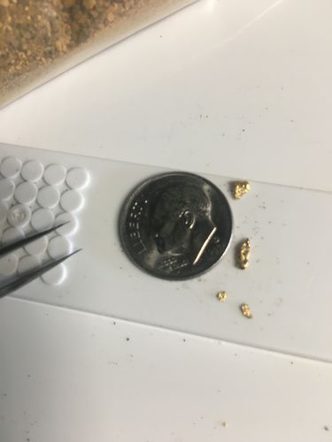 Customer photo review of 2 & 1/2 Lb. NUGGET RESERVE™ Gold Paydirt Unsearched BOGO