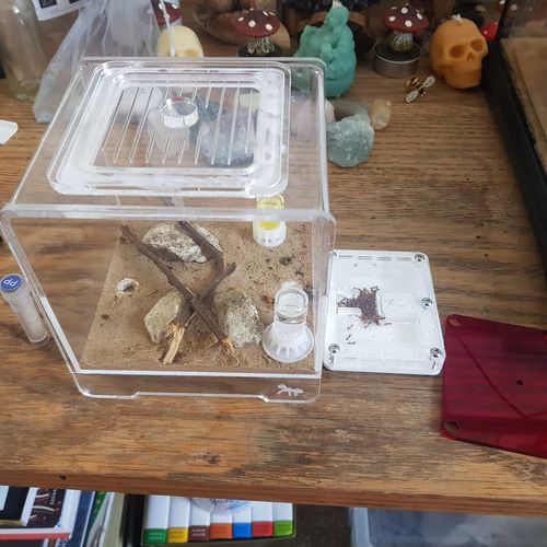 Customer photo review of AntKit Bundle 1