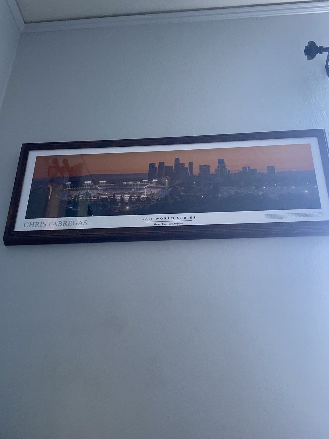 Customer photo review of Dodger Stadium 2017 World Series Panoramic Poster
