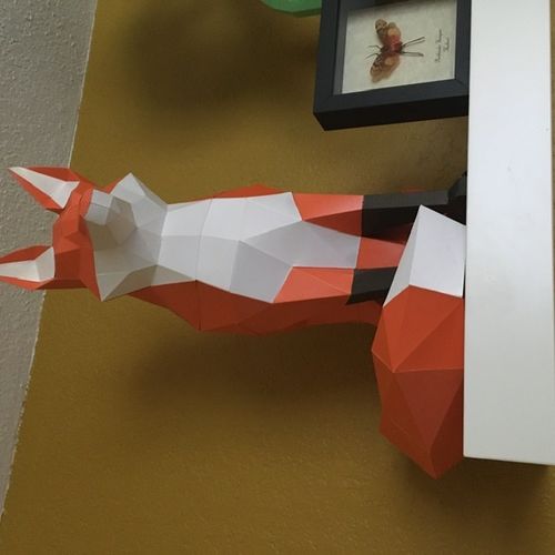 Customer photo review of Fox 3D Model