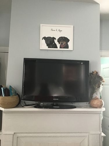 Customer photo review of Custom Framed Two-Pet Portrait