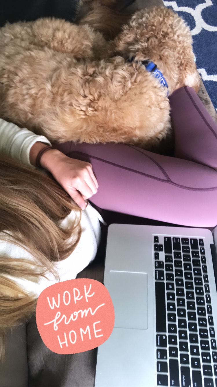 Customer photo review of Focus Exercise Pants - Muted Plum | MT LUXE