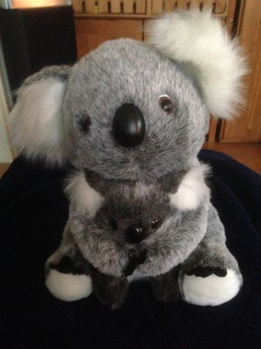 Kundenbewertung mit Foto zu Koala Plüschtier - (Koala-Baumpflanzaktion)