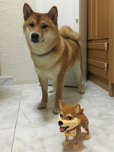 lego shiba