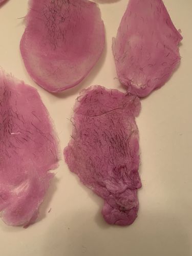 Customer photo review of Signature Series Hair Removal Wax