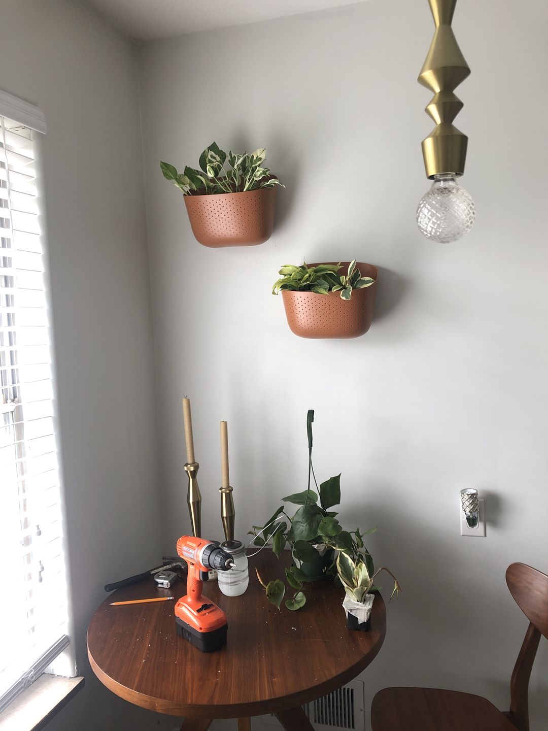 Customer photo review of Wally Eco Terracotta Wall Planter