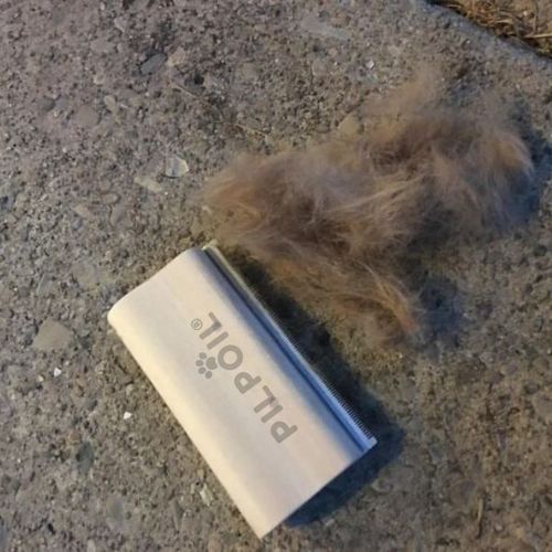 Customer photo review of Brosse Anti-Poils Chien, Chat, Cheval, Lapin | Original | Pilpoil®