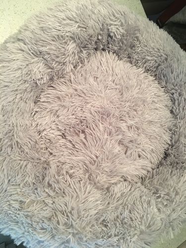 Customer photo review of Lit Apaisant Comfy® |  Pour Chien et Chat