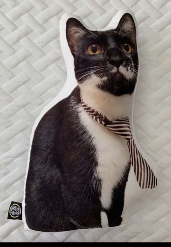 Customer photo review of Custom Cat Pillow