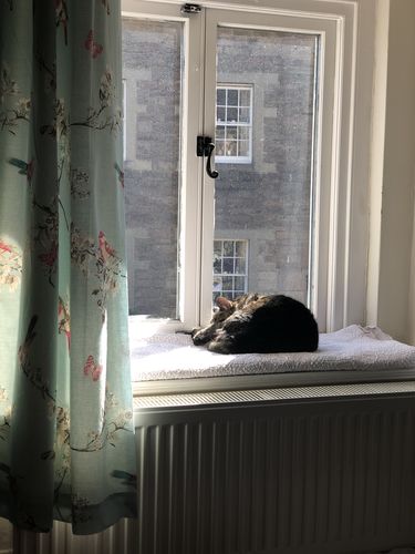 Customer photo review of Collect & Compost Service with Kit