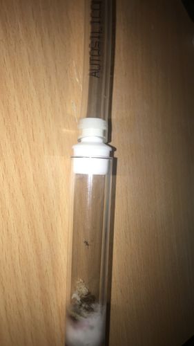 Customer photo review of AntKit Test Tube Adapter (Medium)