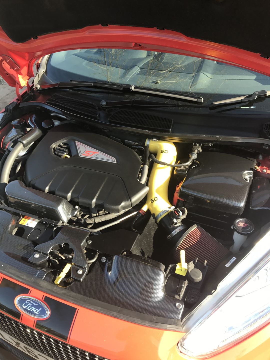 Customer photo review of Bonnet Catch Plate Cover (various colours) - MK7.5 Fiesta