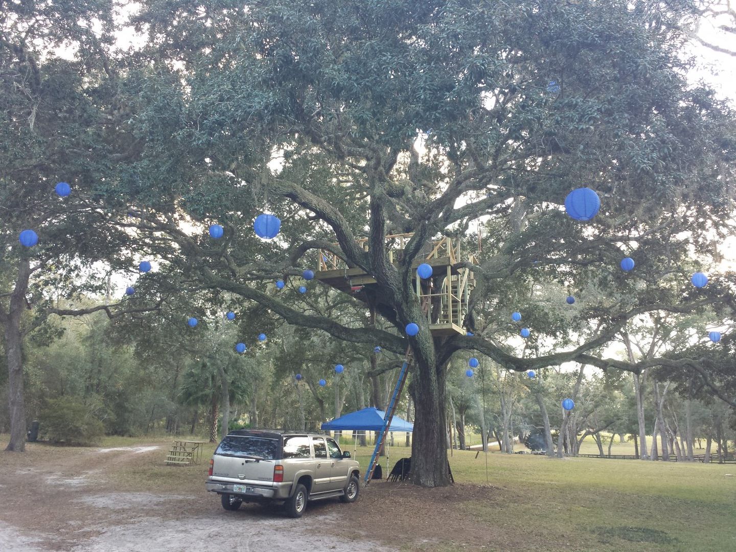 Customer photo review of 14" Navy Blue Shimmering Nylon Lantern, Even Ribbing, Durable, Hanging