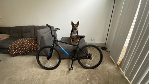 Customer photo review of Twenty6er BMX Bike - 26"