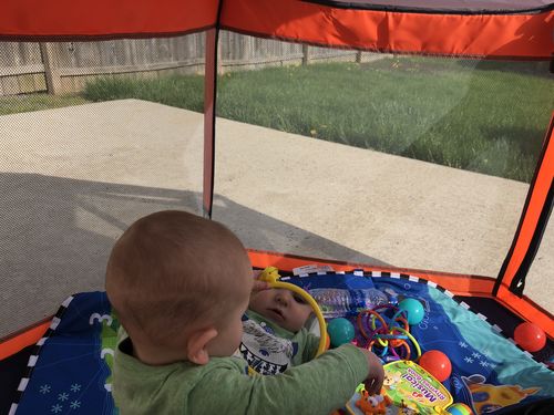 Customer photo review of Pop N' Go® Playpen