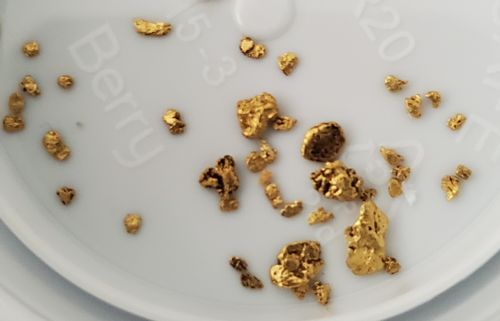 Customer photo review of Goldn Paydirt 'EUREKA' Panning Pay Dirt Bag Gold Paydirt Panning Unsearched