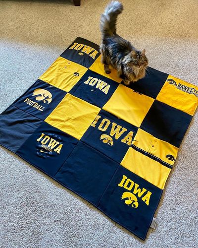 T-shirt quilt featuring university of iowa hawkeyes by Jill from IA