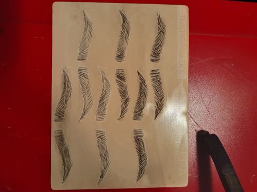 Customer photo review of Free Permanent Makeup Ombre Online Training