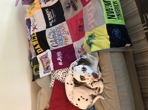 T-shirt quilt with dancing, fitness themes by Brittany from WA