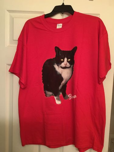 personalized cat shirt
