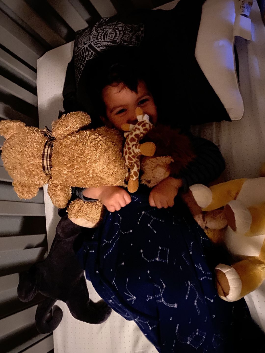 Customer photo review of Wool Pillow, Toddler and Kids, Size: 14"x19"