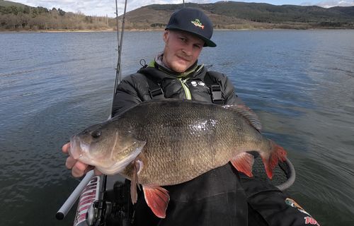 Customer photo review of Perch Snapback
