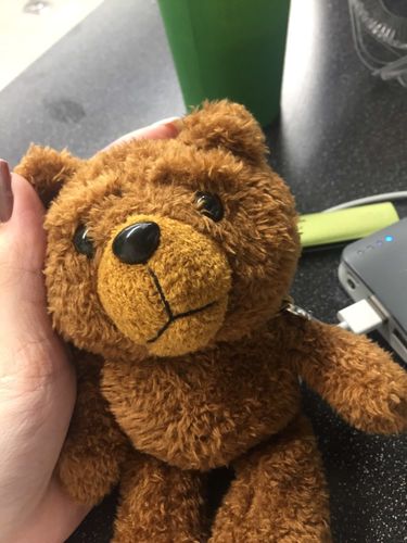 Customer photo review of HipCity Ted Airpod Case