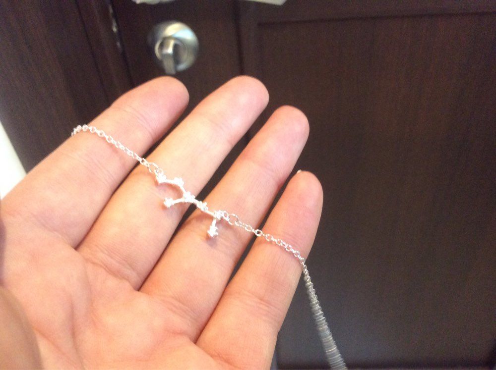 Customer photo review of Zodiac Constellation Necklace