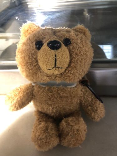 Customer photo review of HipCity Ted Airpod Case