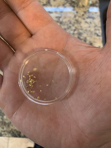Customer photo review of *New* 2020 NUGGET RESERVE 'CLUNKER' Gold Paydirt Panning Unsearched