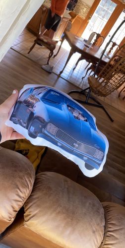 Customer photo review of Create A Custom Car Pillow