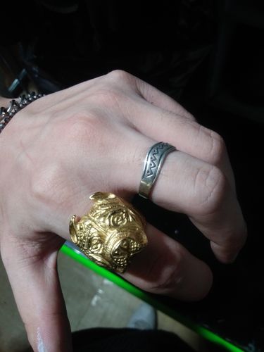 Customer photo review of PIT BULL RING