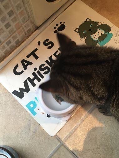 Customer photo review of Petdentist Mouthwash For Cats & Dogs -500ml