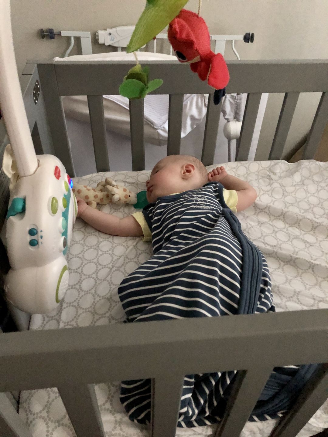 Customer photo review of Kookaburra Wool Wash Non-Scented (16-Ounce)
