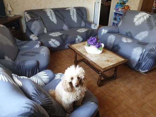 Customer photo review of Exotic Grey - Housses Extensibles de Fauteuil et Canapé - La Maison des Housses