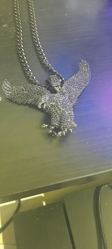 Customer photo review of All Blacked Out CZ High End Iced Out Eagle Pendant