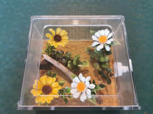 Customer photo review of AntKit Essentials Set