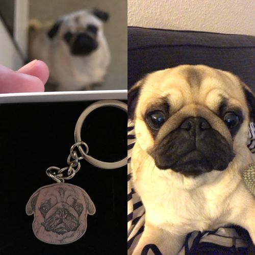 Customer photo review of Silvercut™ Keychain