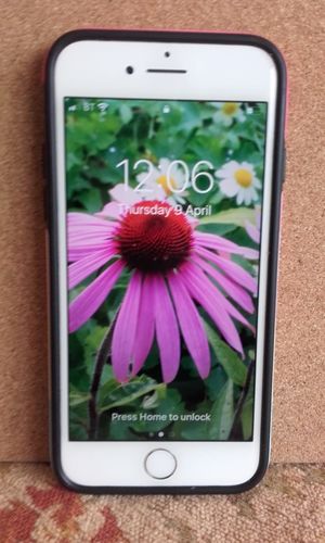 Customer photo review of Apple iPhone 7 32GB Silver Unlocked Refurbished Excellent