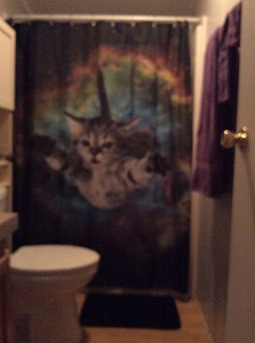 Customer photo review of Galaxy Kitten Need a Hug Shower Curtain Bathroom Decor