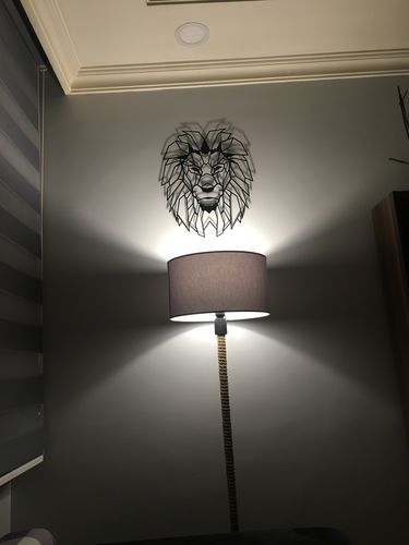 Customer photo review of Lion Head