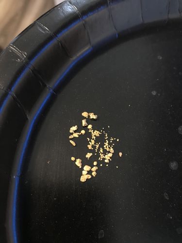 Customer photo review of *BOGO* Pioneer '2 OUNCE NUGGET HUNT' - Gold Panning Paydirt Concentrate