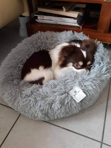 Customer photo review of Lit Apaisant Comfy® |  Pour Chien et Chat