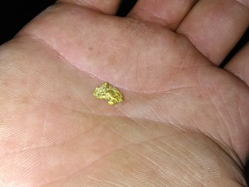Customer photo review of '$150 NUGGET RUSH' Gold Paydirt - *1 in 3 Bags Contains a Nugget Valued $150* - Jackpot Paydirt