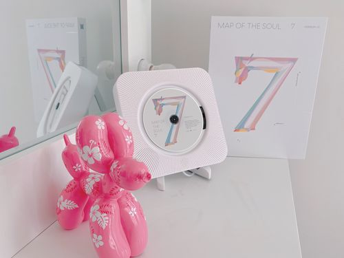 Customer photo review of ASTRONORD™ CD Player