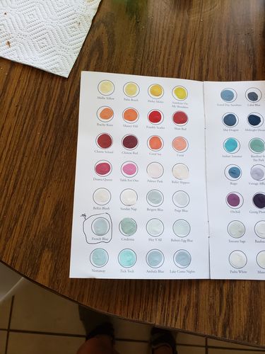 Customer photo review of One-Step Paint Color Guide
