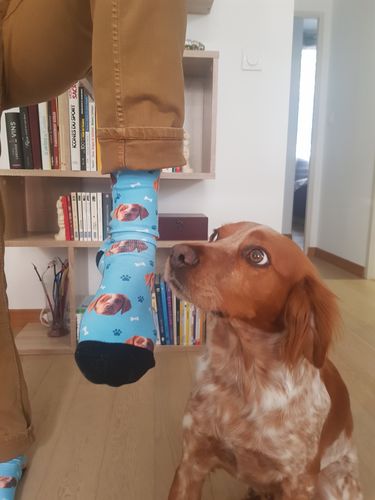Customer photo review of Chaussettes Personnalisées Animal
