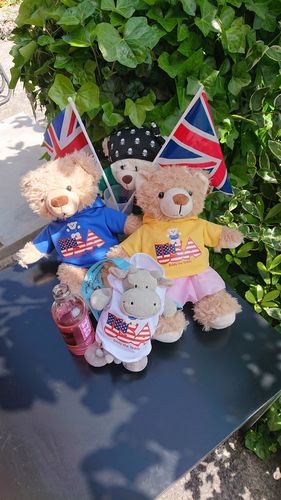 Customer photo review of USA Eddy the Teddy Clothing (pack of 4)