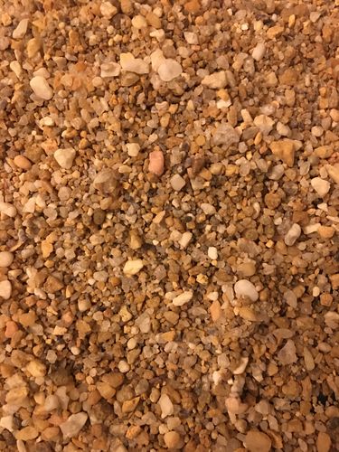 Customer photo review of 2 Lb. JACKPOT PAYDIRT™ Gold Paydirt Unsearched
